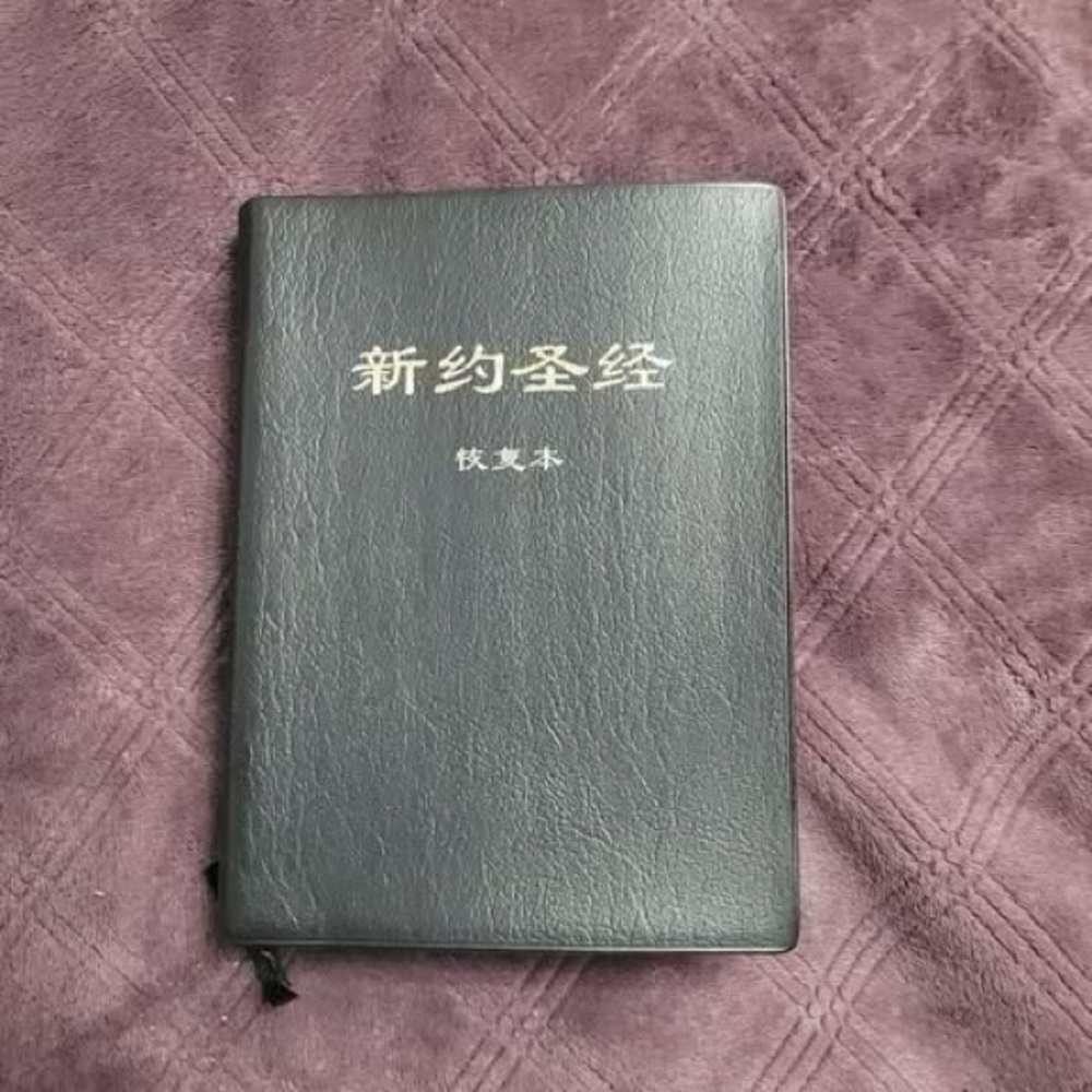 New Testament - Chinese Version-Living Stream Ministry Bible